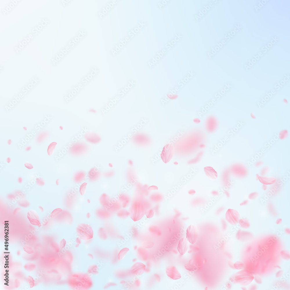 Sakura petals falling down. Romantic pink flowers gradient. Flying petals on blue sky square background. Love, romance concept. Precious wedding invitation.