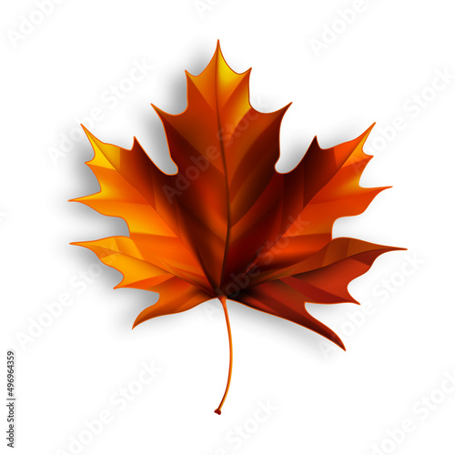 Maple Leaf Autumn Season Natural Foliage Vector. Orange Seasonal Tree Maple Leaf. Environmental Nature Forest Plant Herb Decoration, Biology Dry Flora Template Realistic 3d Illustration
