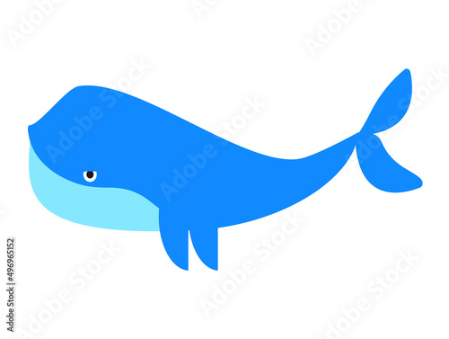 Blue cute whale isolated marine animal   Vector illustration