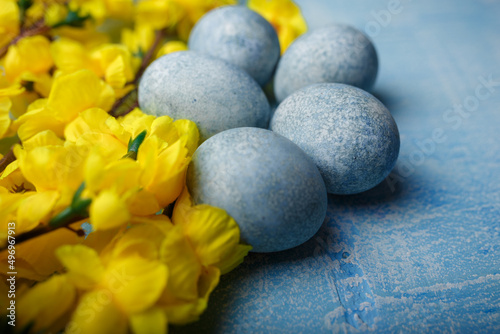 Painted Easter eggs on blue background with yellow flowers. Spring holiday, symbolic food. Close up shot, copy space.