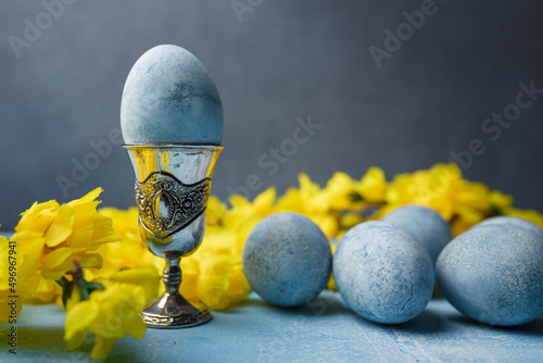 Blue painted egg in silver egg cup, easter eggs and yellow flowers on grey background. Close up shot, copy space photo