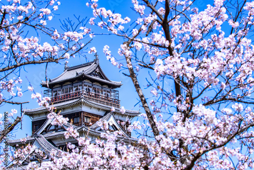 桜と広島城天守閣