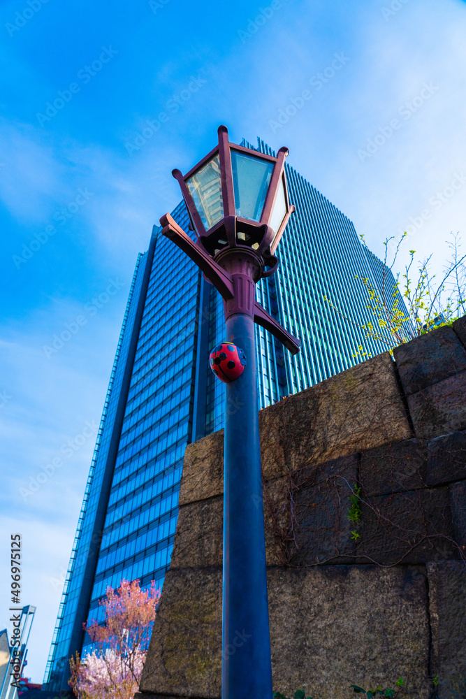 Fototapeta premium 街灯と青空