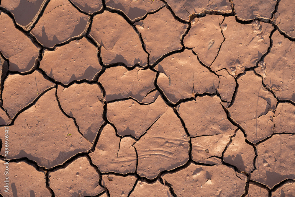 Dry and cracked ground texture.A lifeless land, craquelure Dry and cracked ground texture.A lifeless land, craquelure