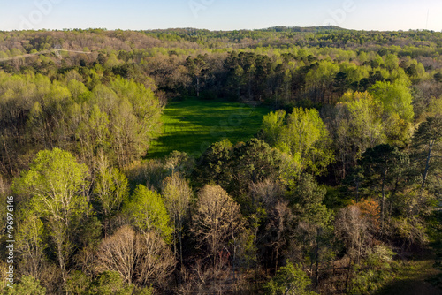 Wallpaper Mural Field in a forest Torontodigital.ca