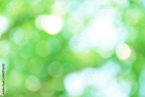 Bokeh abstract in bright green and white tones, blurry. for background