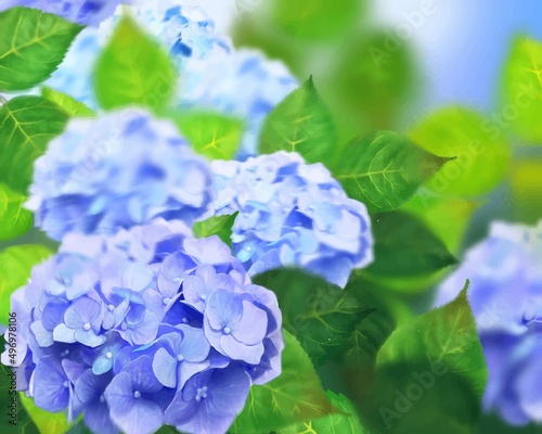 梅雨の時期に咲く美しい薄紫色と水色のあじさいと葉っぱの光差し込むボケの背景イラスト素材