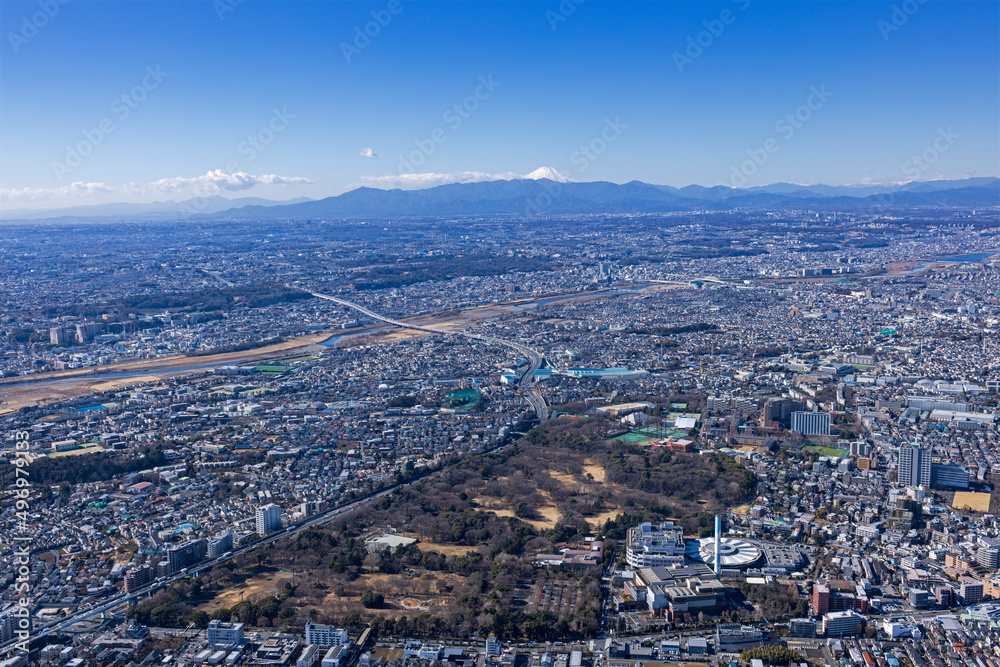 砧公園から富士山を望む、空撮
