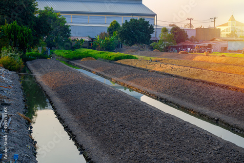 Converting the soil to grow vegetables with the atmosphere in the morning