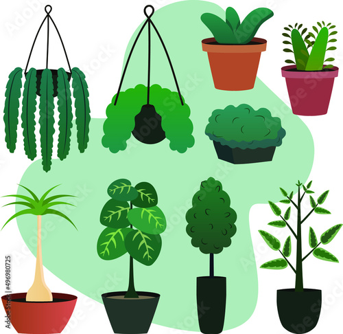 Set de plantas de casa de diferentes tamaños y colores en vector