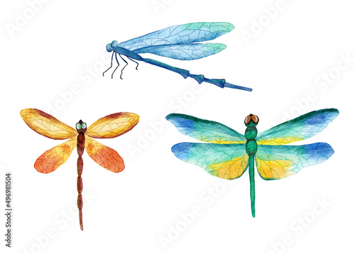 Watercolor hand drawn illustration of three bright vivid dragonfly insects. Natural forest dragonflies in blue yellow green orange colors. Wild wildlife nature ecology concept