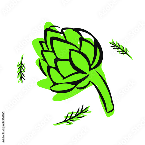 artichoke isolated on white background hand drawn