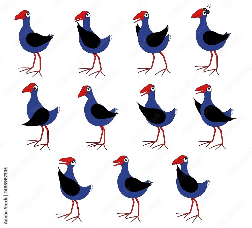 Obraz premium Pukeko Bird Cartoon Character