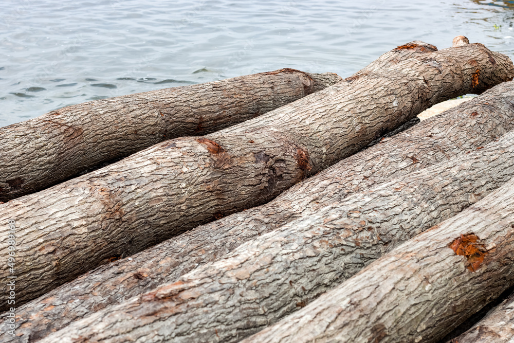 A pile of stacked tree trunks near the river close up shot with selective focus A pile of stacked tree trunks near the river close up shot with selective focus
