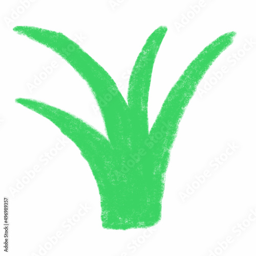 grass hand-drawn with a pencil on a transparent background