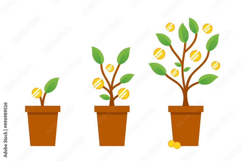 Obraz premium The process of growing money tree step by step. Vector conceptual illustration of money trees with golden coins for business, investment related design. 