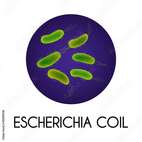 Realistic Bacteria Illustration