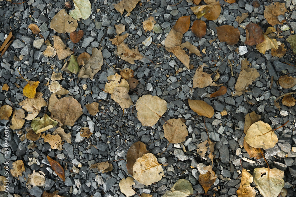 Dry leaves on the pebbles, stones in autumn fall. Dry leaves on the pebbles, stones in autumn fall.