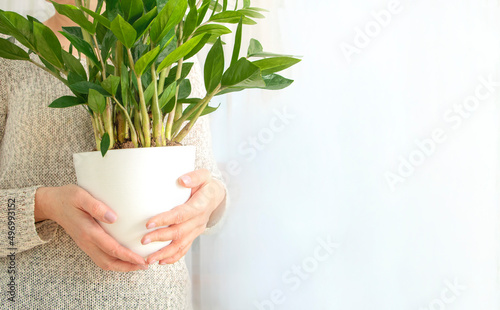 Woman holding pot with house plant on white background close up. Green house concept. Copy space