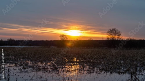 View of swamp at sunset. Time-lapse.