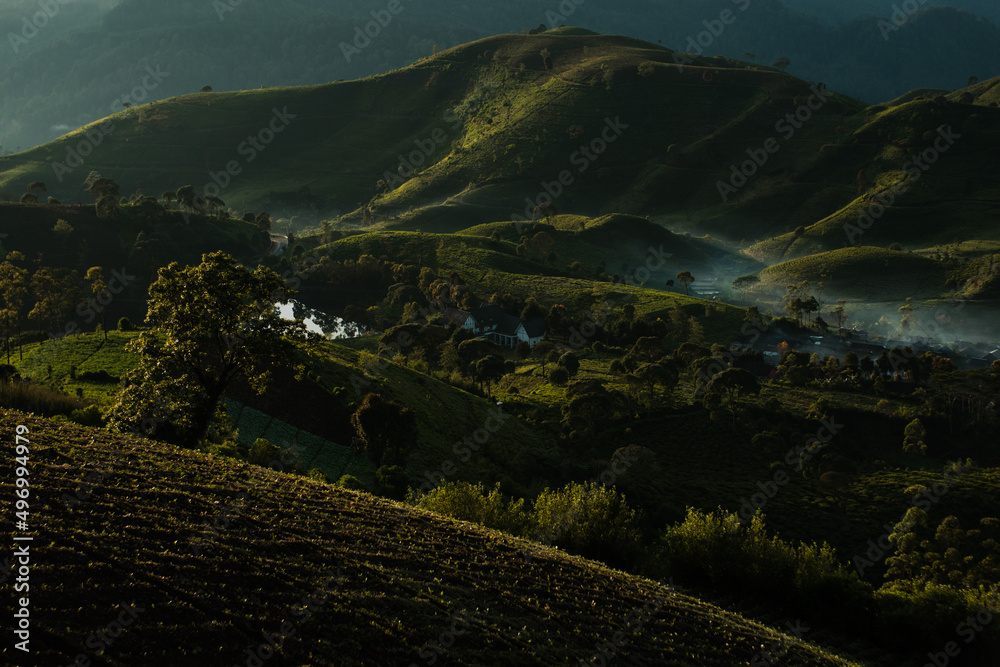 landscape in the morning