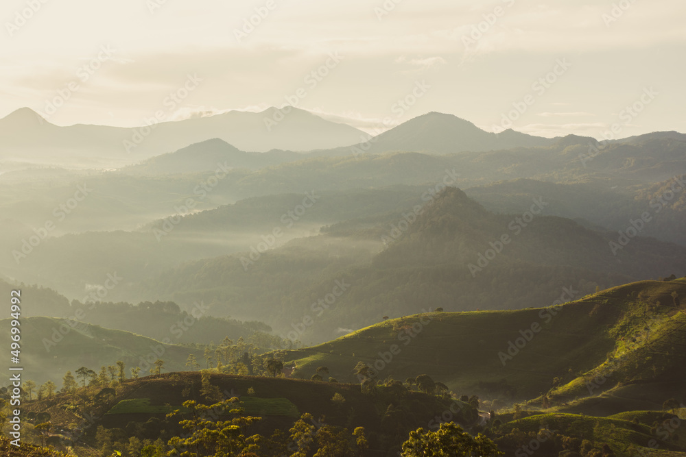 morning in the mountains