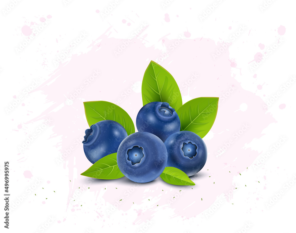 Set of few blueberries fruit vector illustration with green leaves - obrazy, fototapety, plakaty 