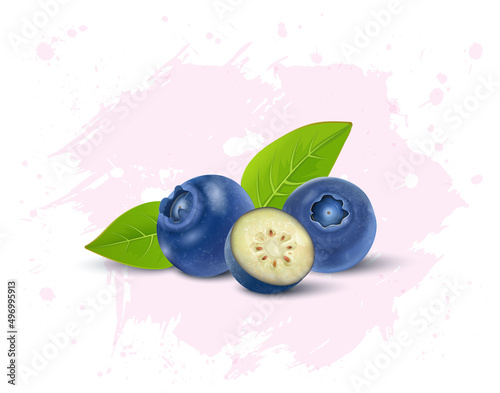 Vector illustration of blue berries fruit isolated on white background