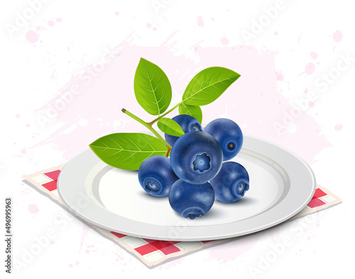 Blueberries fruit vector illustration with berries leaf isolated on white background