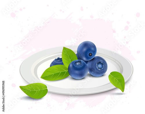 A plate of Blueberries fruit vector illustration isolated on white background
