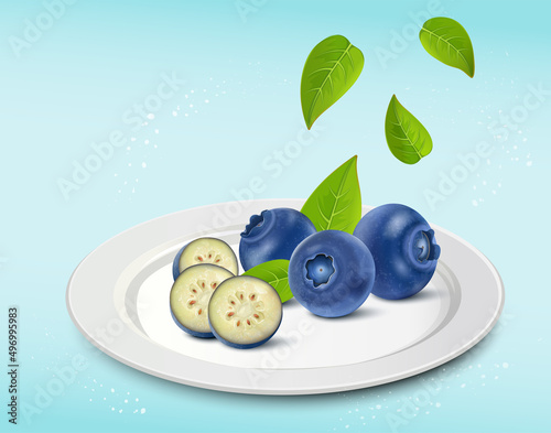 Blueberries fruit  vector illustration with green leaves on light blue background