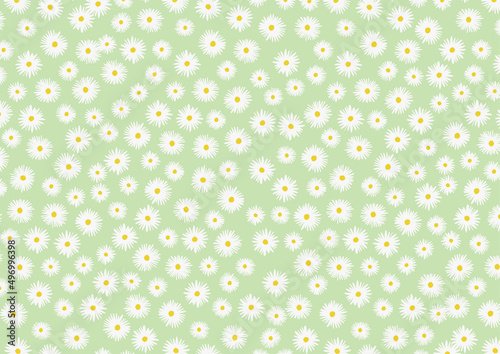 レトロ　マーガレット　背景