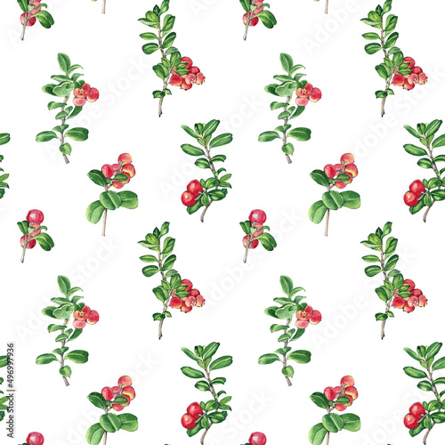 Watercolor red foxberry seamless pattern. Isolated illustrations on white background. Hand drawn painting 