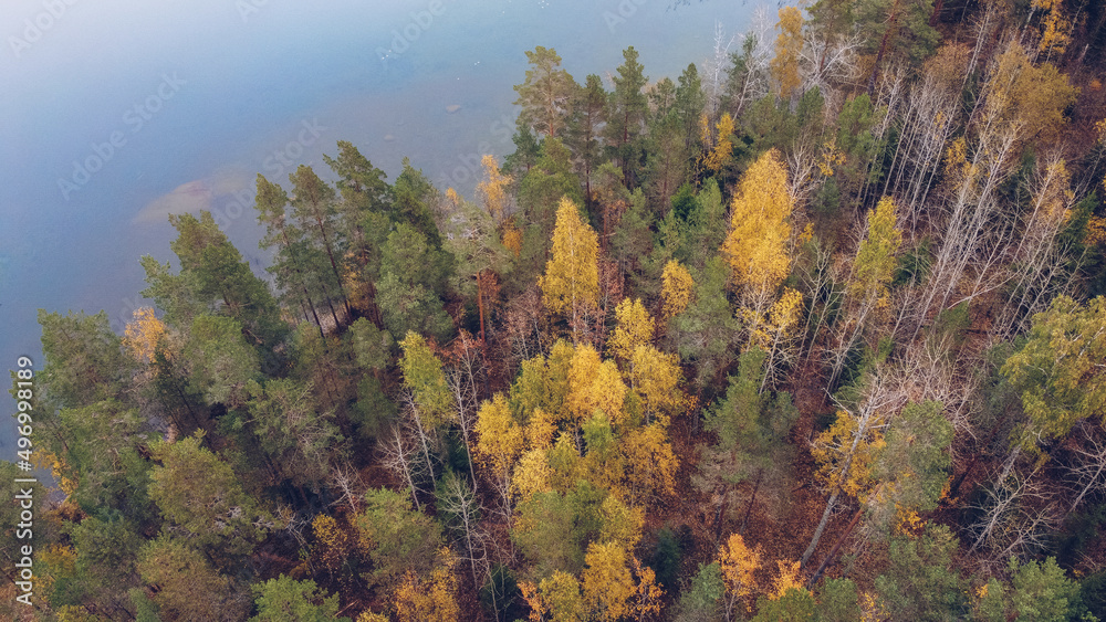 Lake and forest in Karelia among larch trees, Russia. Beautiful autumn season landscape with river and forest stock photography