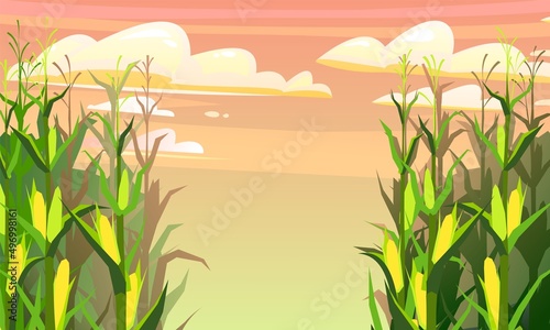 Corn grows in field. Frame with place for text. Harvest agricultural plant. Food product. Farmer farm illustration. Rural summer field landscape. Vegetable garden cultivation. Vector