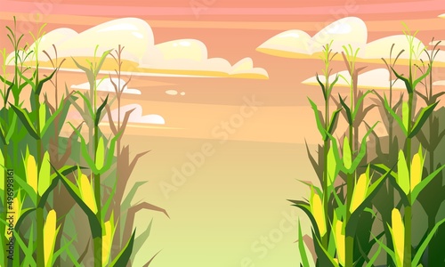 Corn grows in field. Frame with place for text. Harvest agricultural plant. Food product. Farmer farm illustration. Rural summer field landscape. Vegetable garden cultivation. Vector