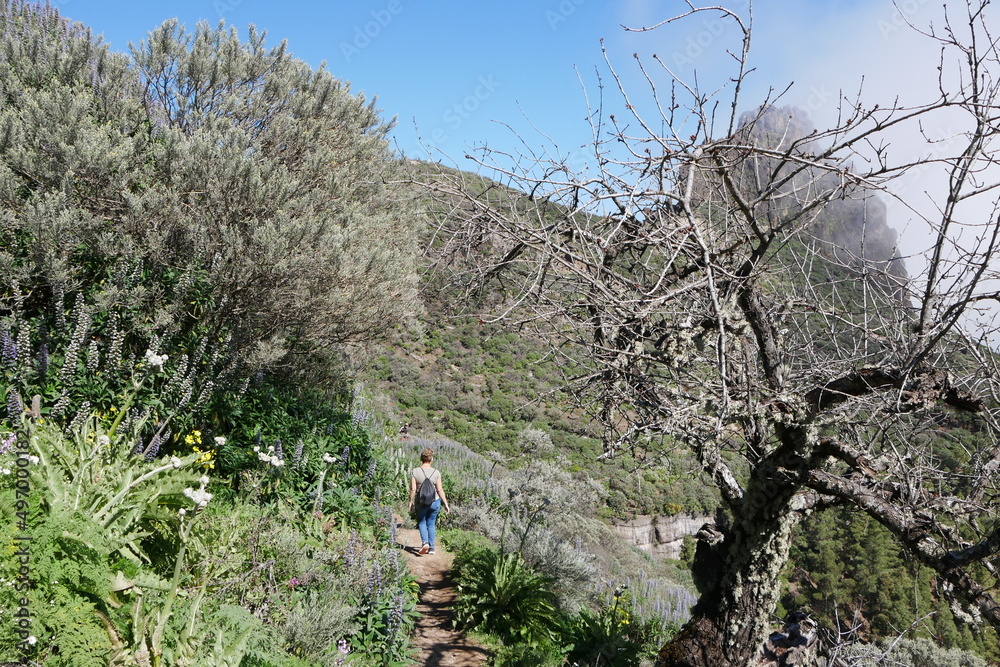 Blumen und Wanderer in Berglandschaft auf Gran Canaria