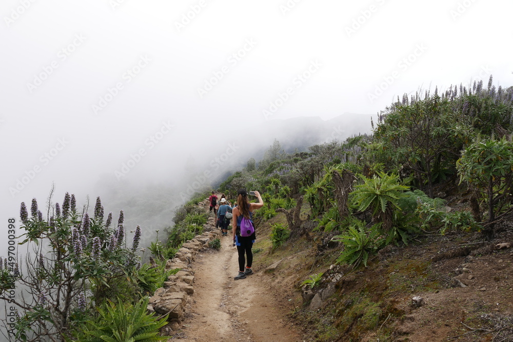 Blumen, Wanderer und Nebel in Berglandschaft auf Gran Canaria