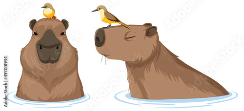 Set of different capybara in cartoon style photo