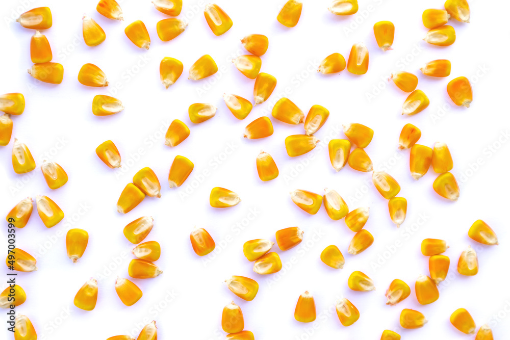 Heap of raw corns seeds, maize or sweetcorn kernels top view isolated on white. Heap of raw corns seeds, maize or sweetcorn kernels top view isolated on white.