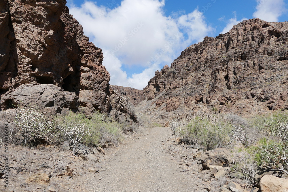 Schlucht in Halbwüste von Gran Canaria Barranco Hondo