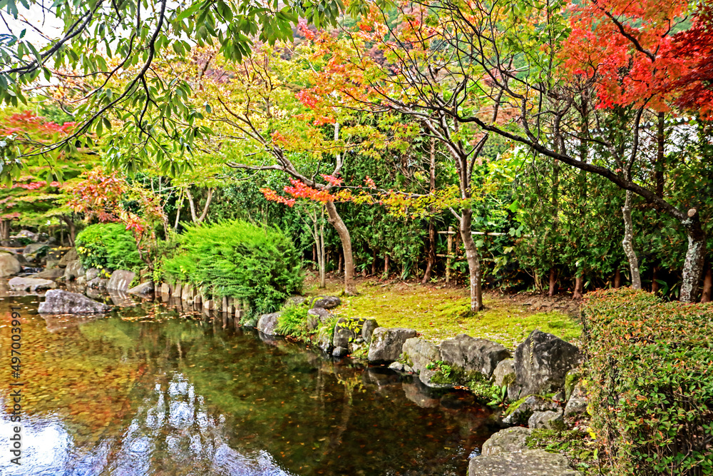 Decorative Japanese style garden