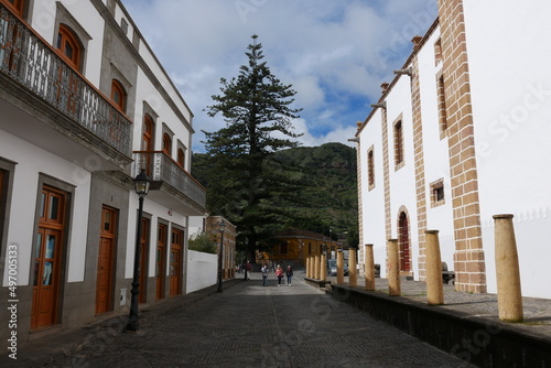 Altstadt mit Araukarie von Teror auf Gran Canaria