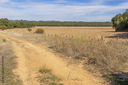 Dried out farmland in the Sierra de Hornachuelos in the province Cordoba