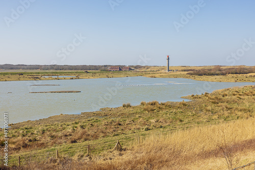 Puddles in the black polder at the mouth of the Scheldt near Cadzand