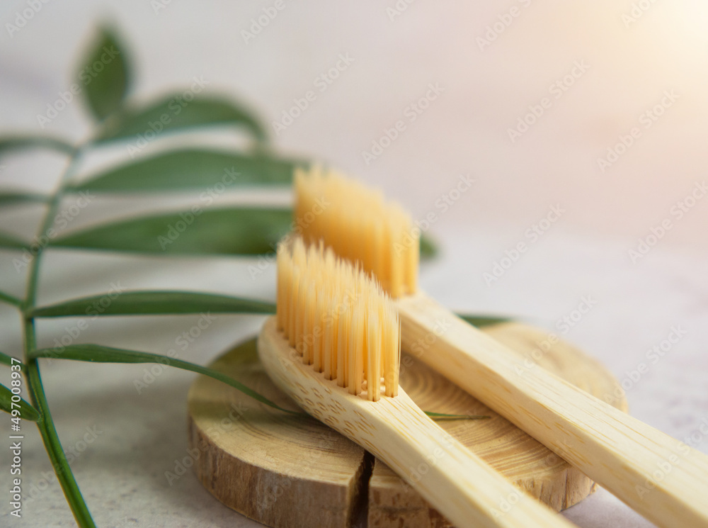 Natural bamboo toothbrushes close up. dental care, plastic free concept. Copy space for text Natural bamboo toothbrushes close up. dental care, plastic free concept. Copy space for text