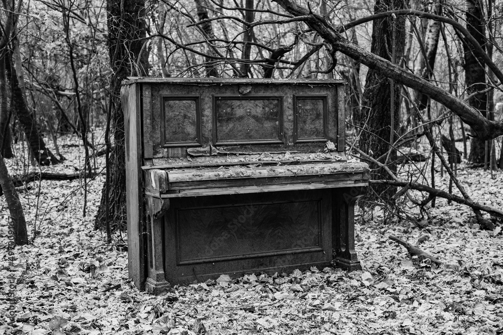 Old Piano in a field of trees. Stock Photo | Adobe Stock