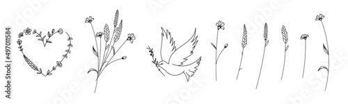Hand drawn vector illustrations. Botanical branches of eucalyptus and fern. Tattoo sketches. Perfect for weddng invitations, greeting cards, blogs, posters and more