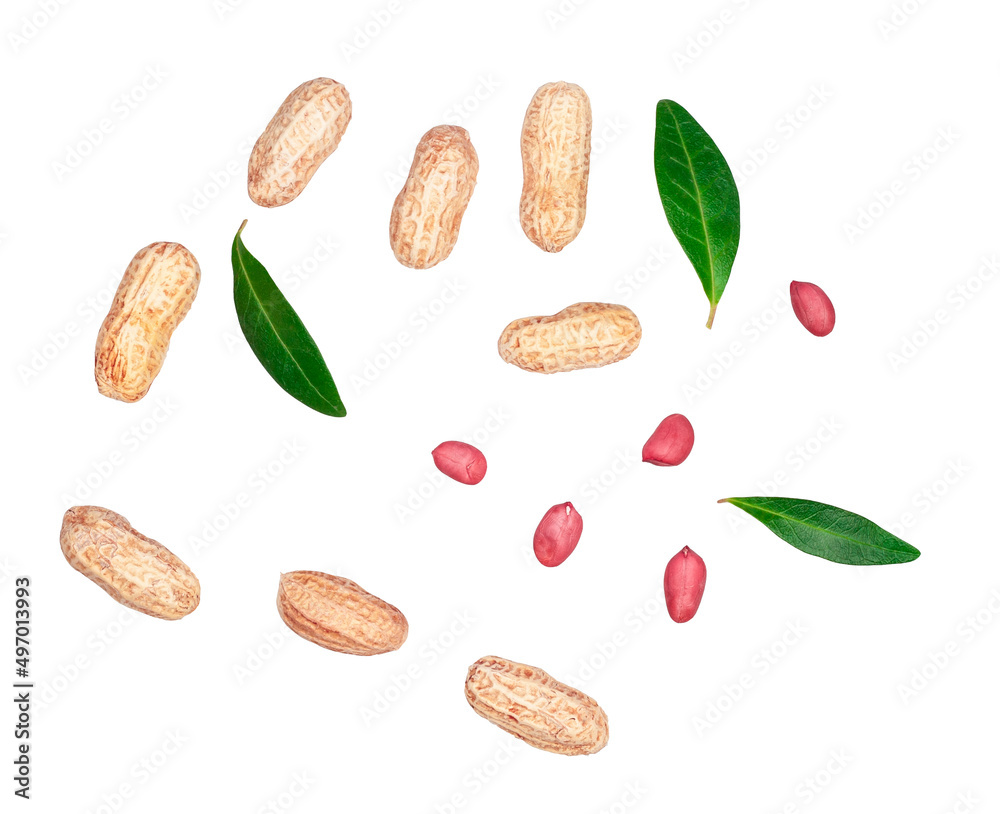 Peanuts isolated on a white background, top view Peanuts isolated on a white background, top view