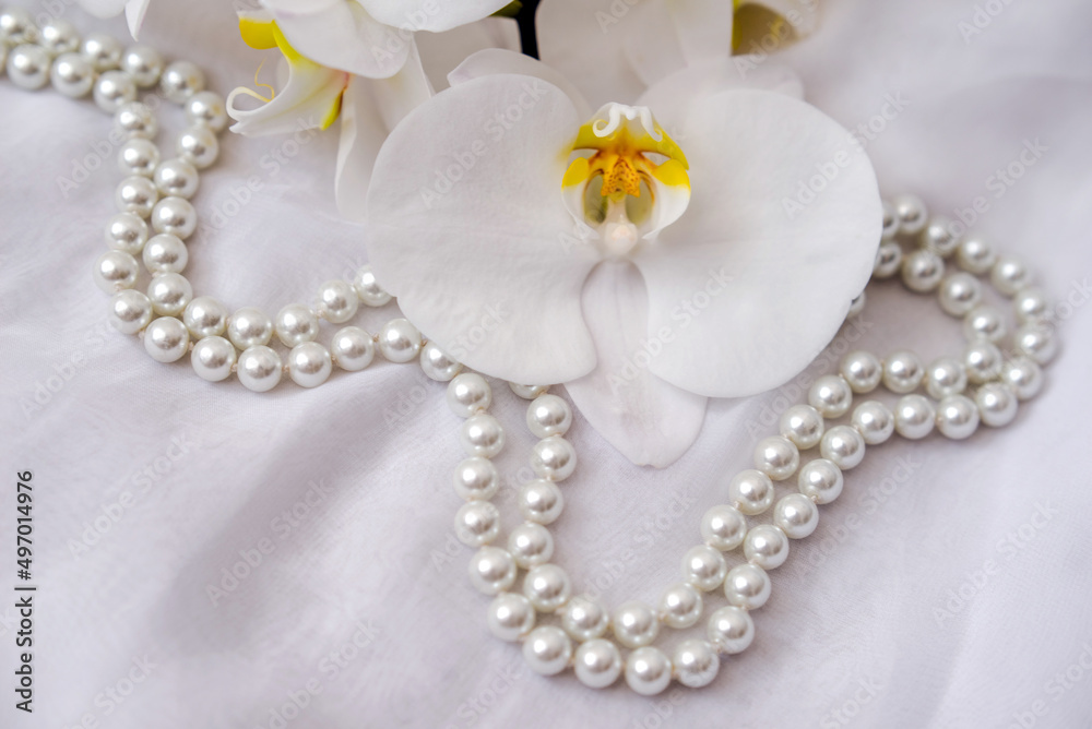 The branch of white orchids on white fabric background
The branch of white orchids on white fabric background